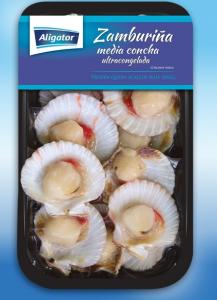 QUEEN SCALLOP HALF SHELL